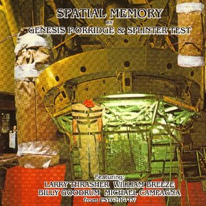 Image for 'Spatial Memory'