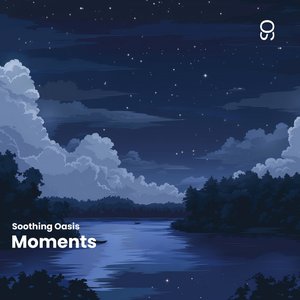 Immagine per 'Moments'
