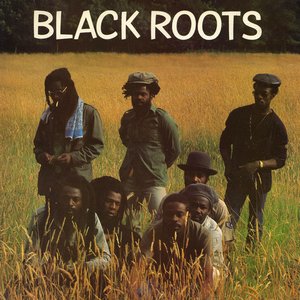Image for 'Black Roots'