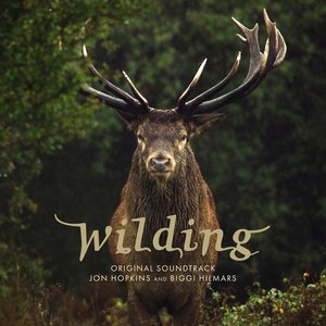 'Wilding (Original Soundtrack)'の画像