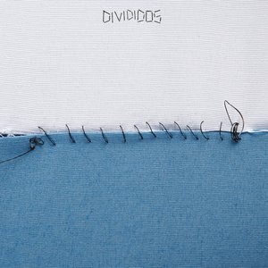 Image for 'Divididos'