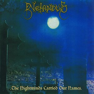 Image for 'The Nightwinds Carried Our Names'