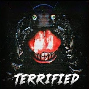 Image for 'TERRIFIED'