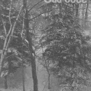 Image for 'Winter Pathways'