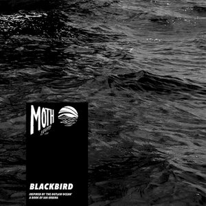'Blackbird (Inspired by ‘The Outlaw Ocean’ a book by Ian Urbina)'の画像
