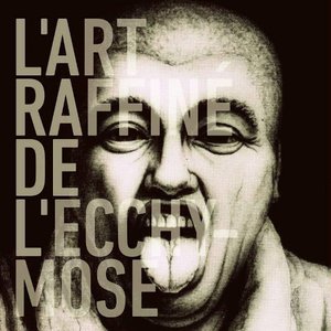 Image for 'L'art raffiné de l'ecchymose'