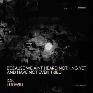 Image for 'Because We Ain't Heard Nothing Yet and Have Not Even Tried'