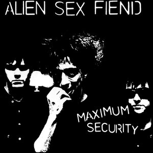 Image for 'Maximum Security'