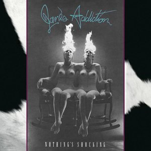Image pour 'Nothing's Shocking'