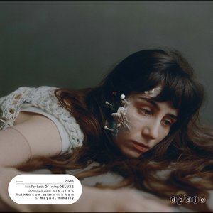 Immagine per 'Not For Lack Of Trying (Deluxe)'