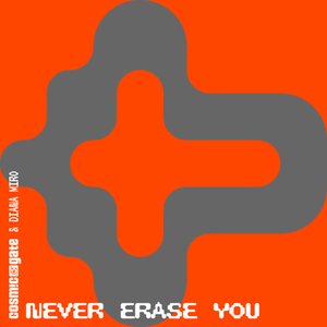 Image for 'Never Erase You'