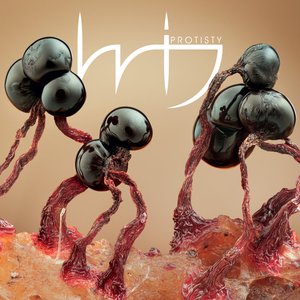 Image for 'Protisty'