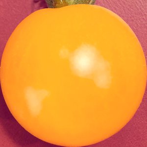 Image for 'faux fruit'