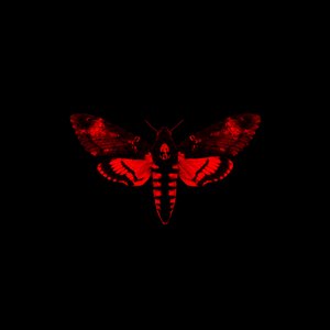 Image for 'I Am Not a Human Being II (Deluxe)'