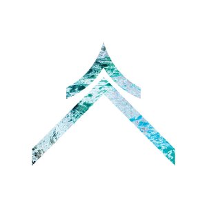 Image for 'D.V.S.R'