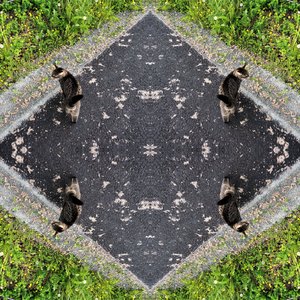 Image for 'Treatment'