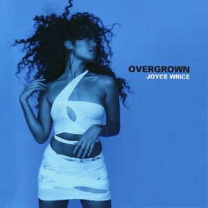 Image for 'Overgrown'