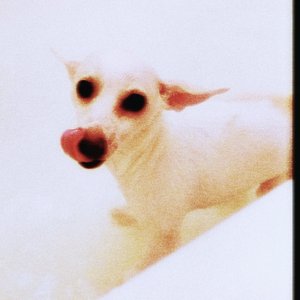 Image for 'S/T'