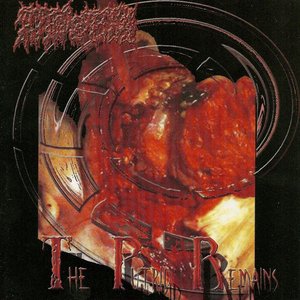 Image pour 'The Putrid Remains'