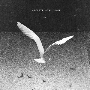 Image for 'Mono No Aware'
