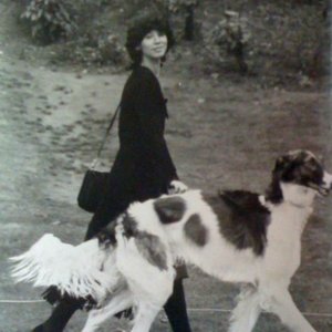Image for 'ovine hall'