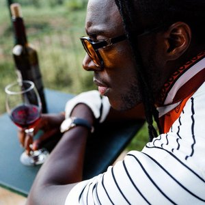 Image for 'De Stem van MERLOT'