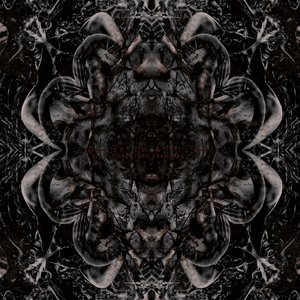 Image for 'Death Is A Flower'