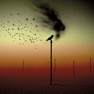 Bild für 'For A Bird That Never Flew'