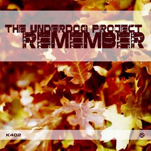 Image for 'Remember'