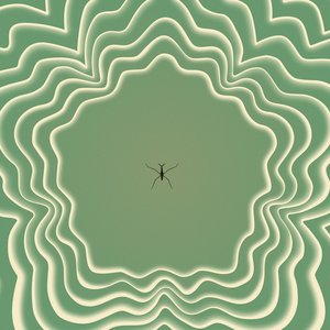 Image for 'THIRD'