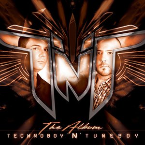 Image for 'The Album'