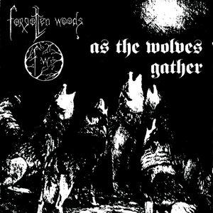 Image for 'As the Wolves Gather/Sjel Av Natten'