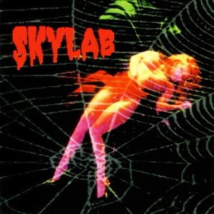 Image for 'Skylab'