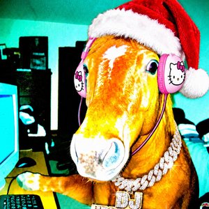 “DJHRNYHORSE”的封面