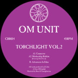 Image for 'Torchlight Vol.2'