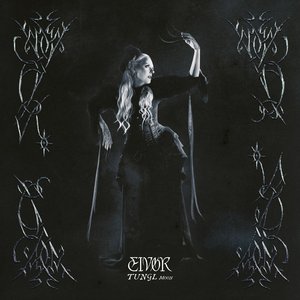 Image for 'Drekafljóð / Dragon Maiden'