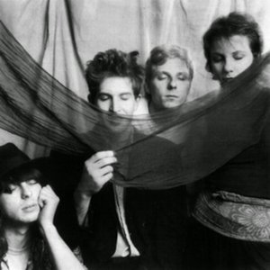 Image for 'The Dream Syndicate'