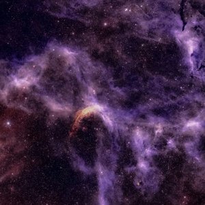 Bild für 'Star Seed'