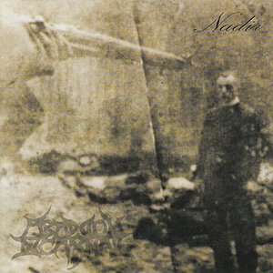 Image for 'Nadir'