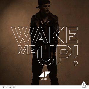 Изображение для 'Wake Me Up'