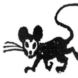 Image for 'collektion'