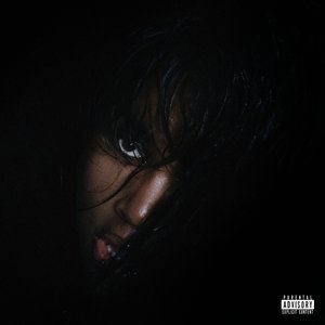 Immagine per 'BITCH YOU COULD NEVER'