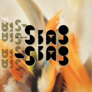 Bild für 'The Joy Of Sing-Sing (2026 Remaster)'
