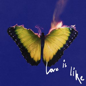 Image for 'Love Is Like'
