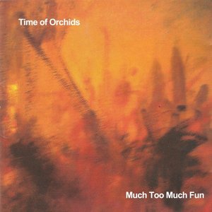 Image for 'Much Too Much Fun'