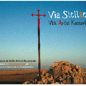 Immagine per 'Via Stellae'