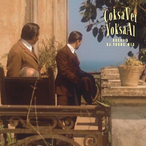 Image for 'ÇOKSA VER YOKSA AL'