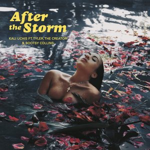'After The Storm (feat. Tyler, The Creator & Bootsy Collins) - Single'の画像