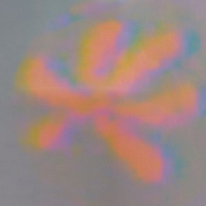 'efflorescence iii'の画像