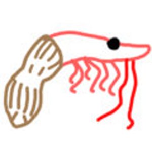 Image for 'Shrimplenuts'